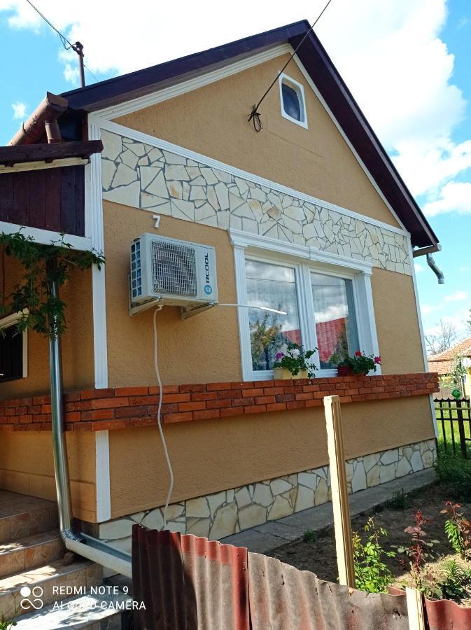 Olga Vendégház Abádszalók Extérieur photo